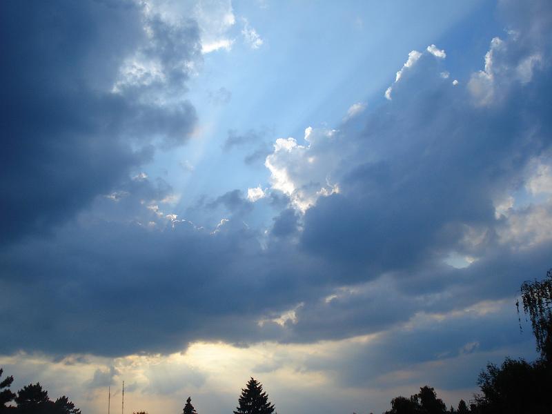 dsc03037.jpg